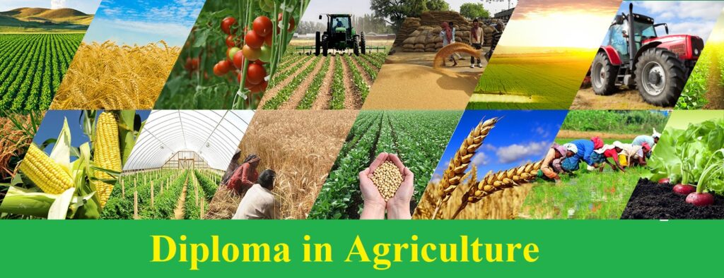 DIPLOMA IN AGRICULTURE