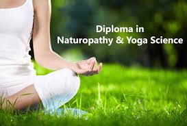 DIPLOMA IN NATUROPATHY & YOGA SCIENCE
